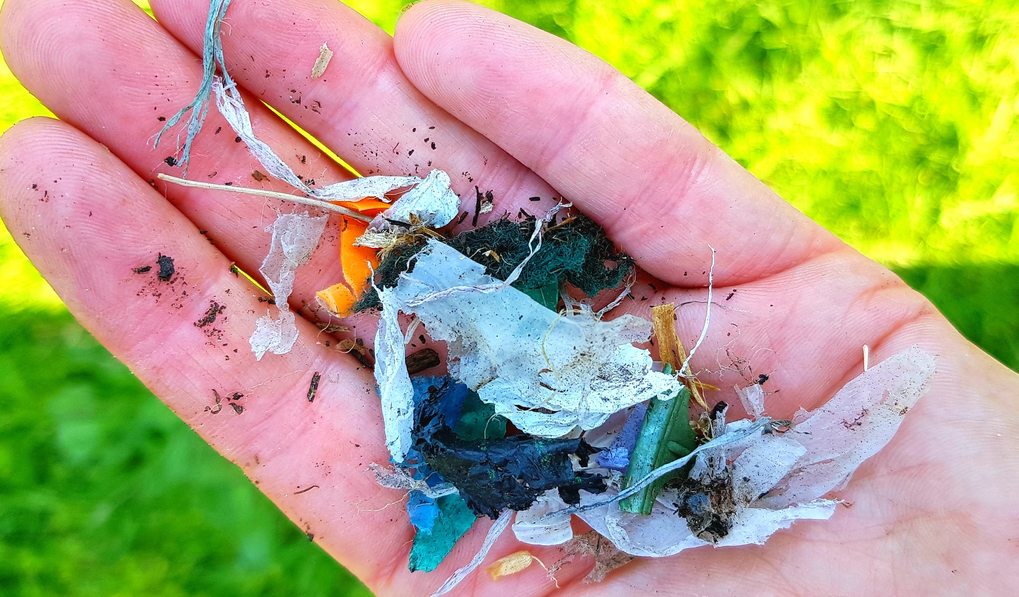 Does organic equal healthy?